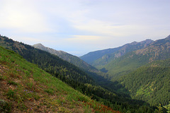 View from Hurricane Ridge