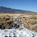 Washoe Valley