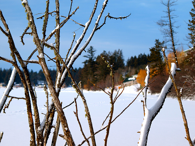 Lac La Hache, BC