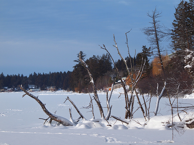 Lac La Hache, BC