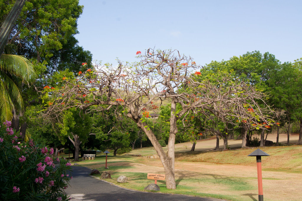 DSC07515-1