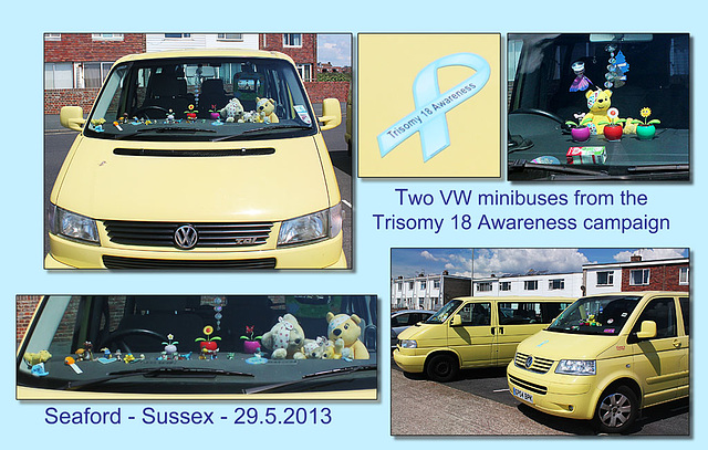 Trisomy 18 Awareness - VW minbuses - Seaford - 29.5.2013