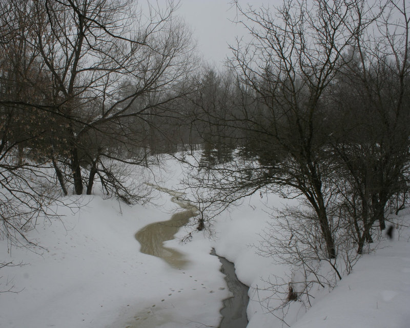 au bord du ruisseau