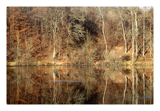 Miroir  parfait