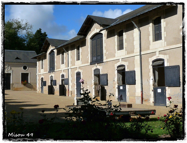 LE LION D'ANGERS