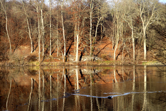 Miroir  parfait