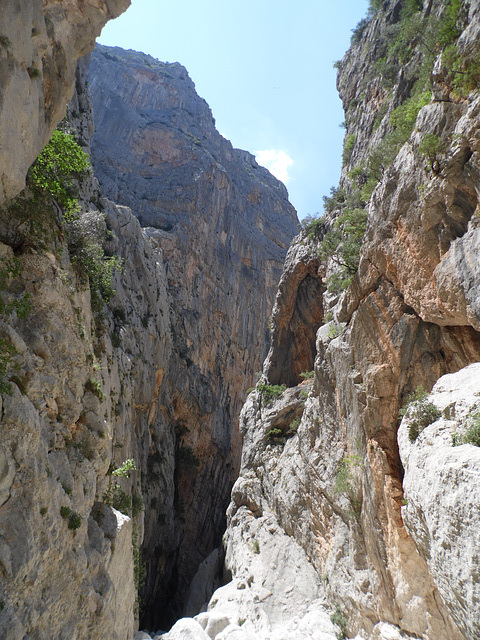 A Glimpse Down the Canyon