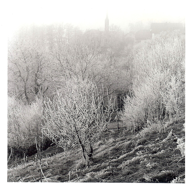 Dorf im Nebel