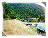 Our campsite in Waioeka Gorge 2