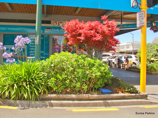 Pretty corner on main street