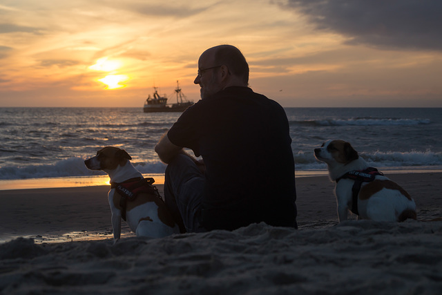 Jack Russell Rico und Clifford im Sonnenuntergang DSC01738