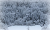 Février 2014