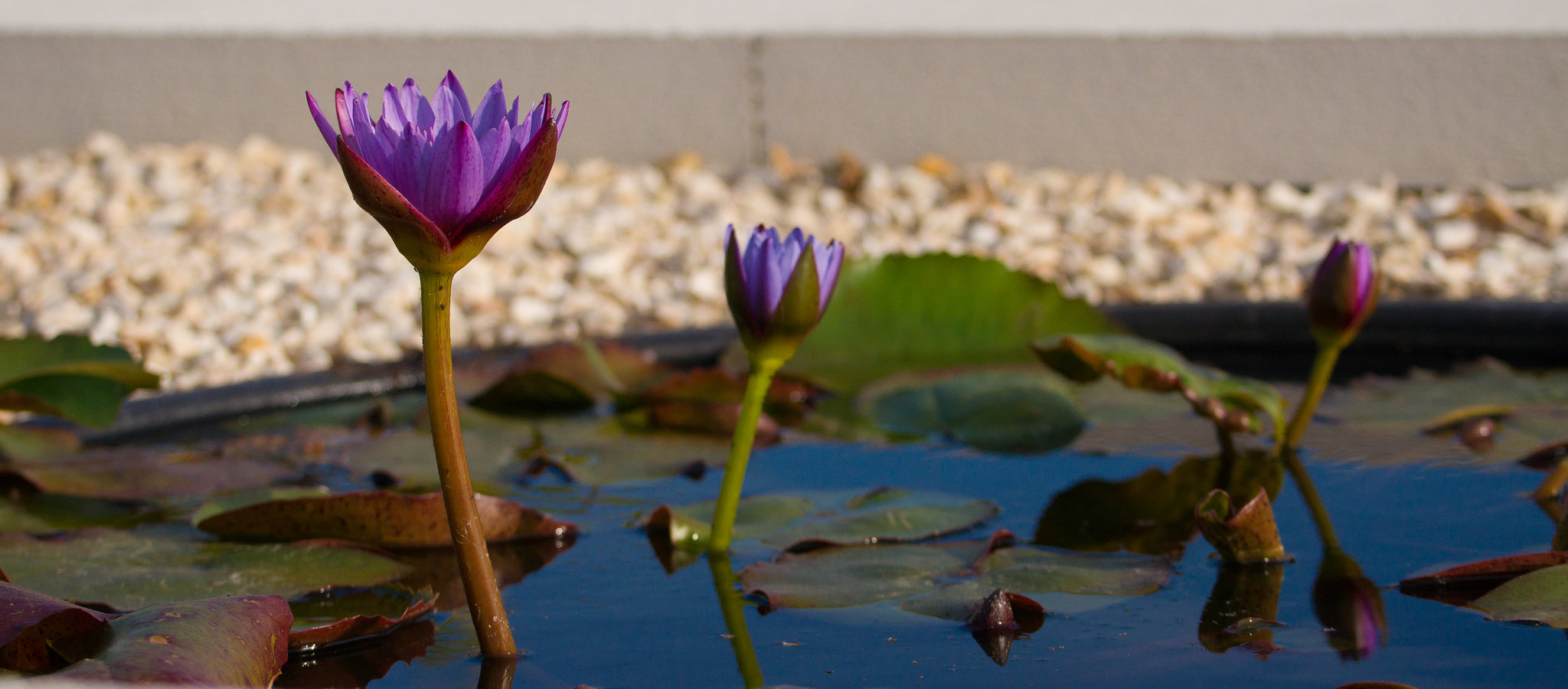 20130929-DSC01038.jpg