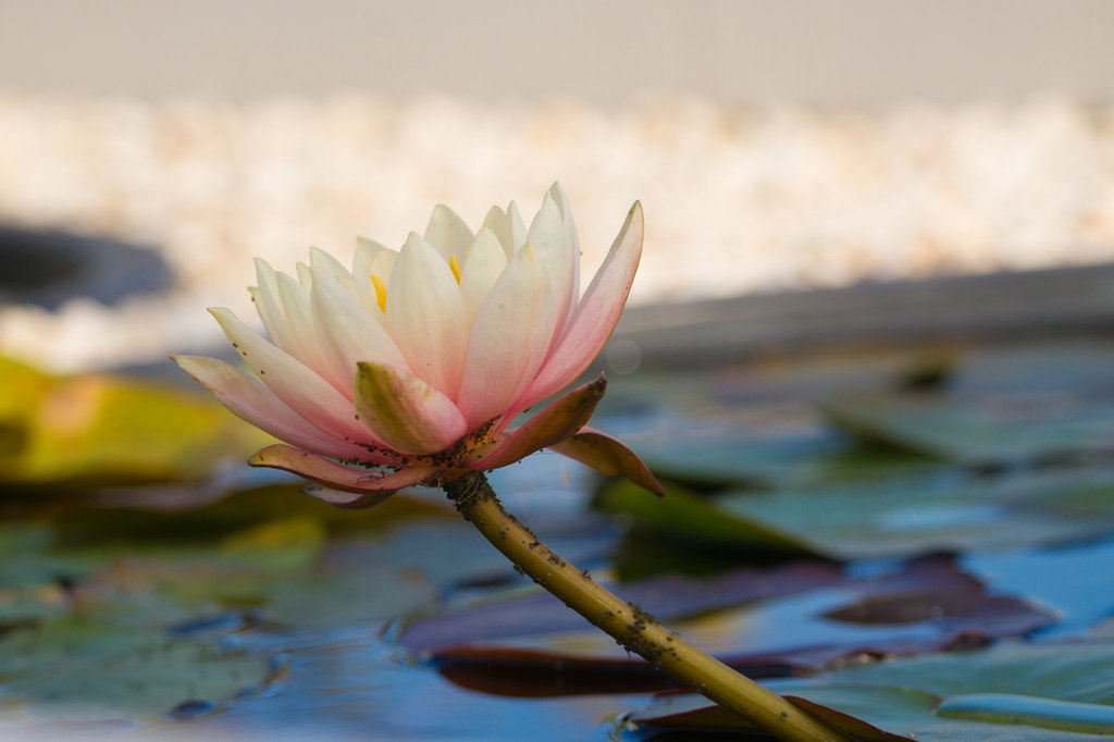 20130929-DSC01037.jpg