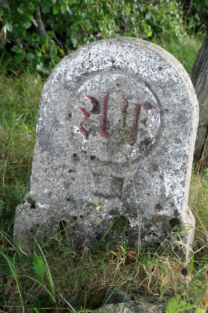 Au bord du chemin, une borne ancienne (1258 m d'altitude) (Lozère, région Languedoc-Roussillon, France)