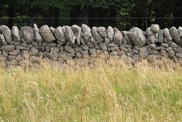 Mur le long de la grande draille.