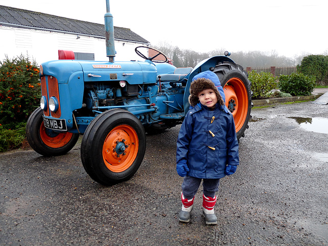 Dexter at the Tractor Rally
