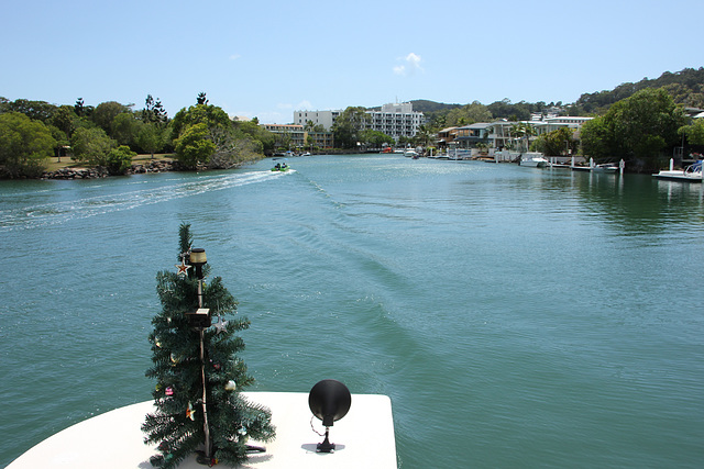 Christmas Tree on the Ferry