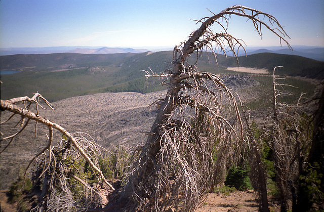 08-newberry_overlook_ig_adj