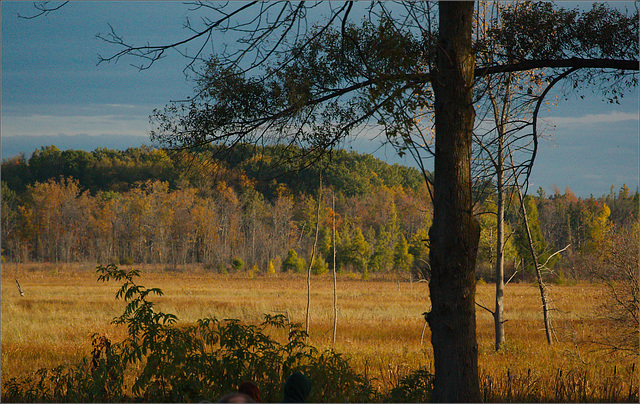 Big Marsh Lake