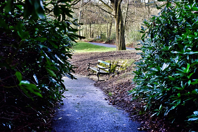 Park bench #3