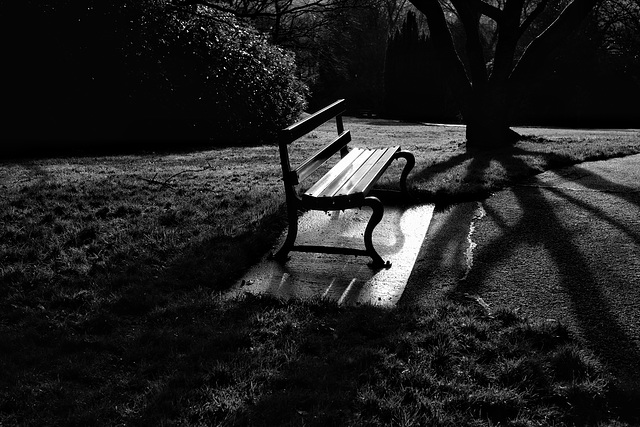 Park bench #4