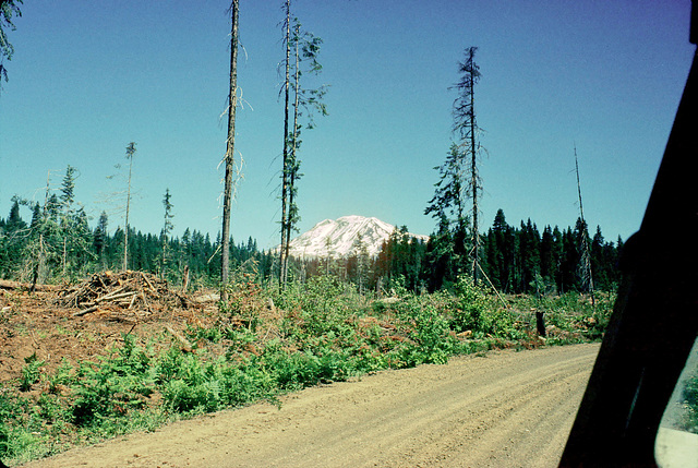 14-mt_adams_adj