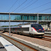 TGV SE new look