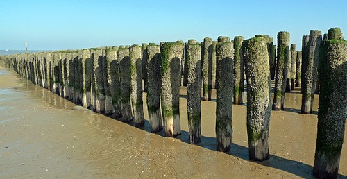 Nederland - Nieuwvliet-Bad