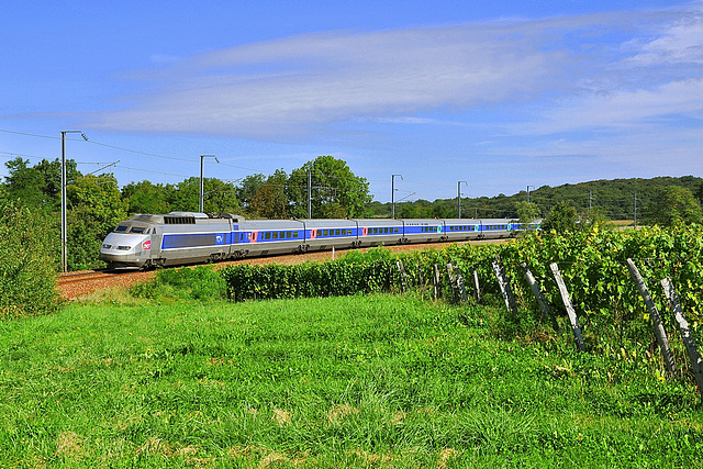 PSE dans les vignes