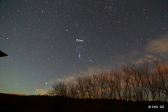Orion, above the Willows