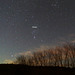 Orion, above the Willows