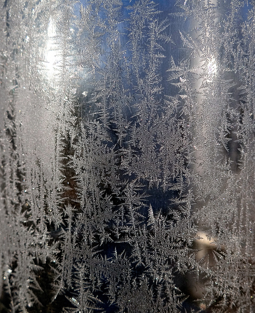 Jack Frost flowers on the rain gauge outer cylinder