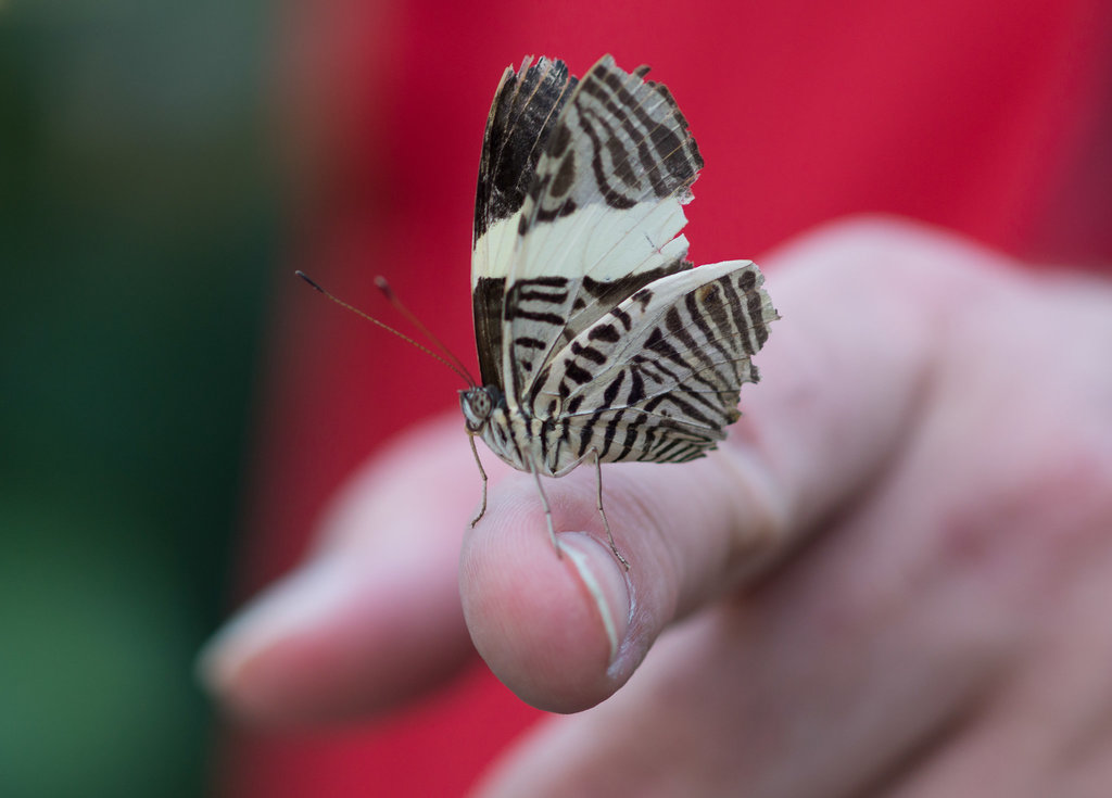 20130526-DSC00686