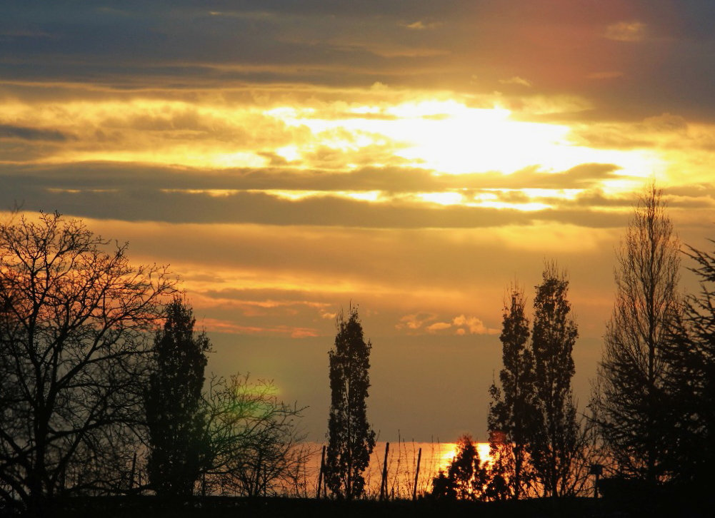 Sonnenuntergang über dem Bodensee