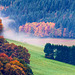Colors of Fall - Herbstfarben I (270°)