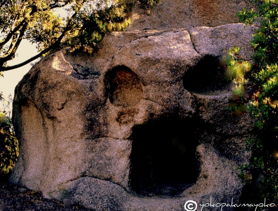 The skull....Neolithic Sardinia.