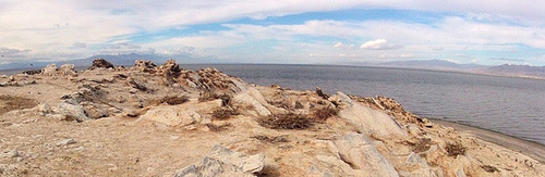 Mullet Island (0633)