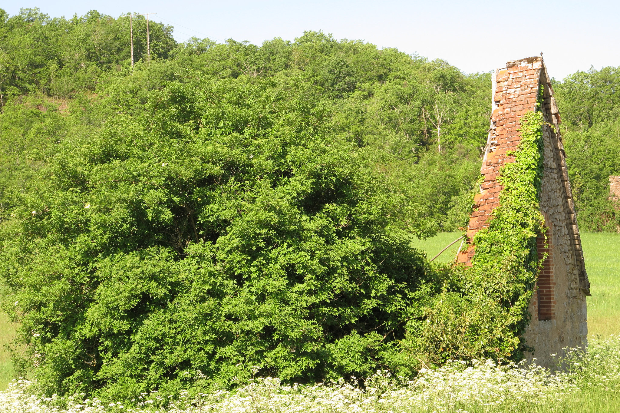 Fantôme, Lot, France