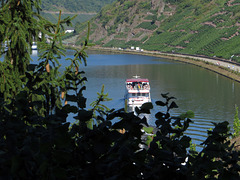 Mosel-Schifffahrt