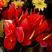 Swanston Street flower stall_2