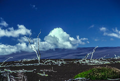 Devastation Trail, Mauna Loa, Hawaii, Hi, Nov. 1980