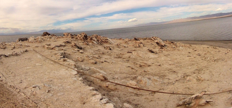 Mullet Island (0684)