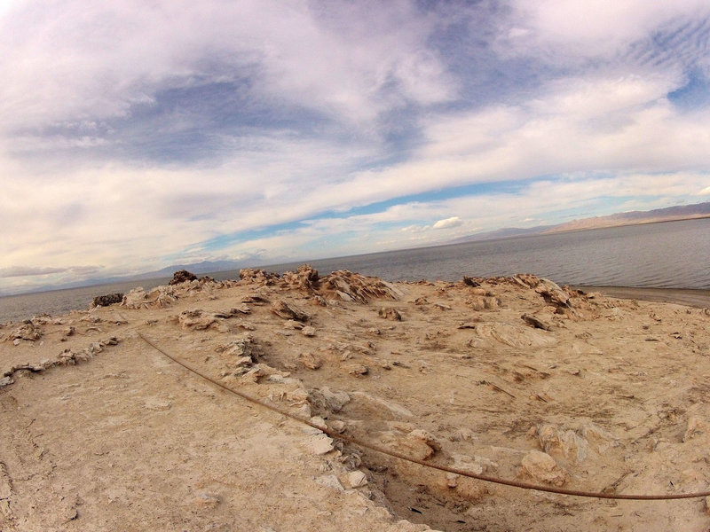 Mullet Island (0685)