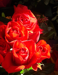 Swanston Street flower stall_1