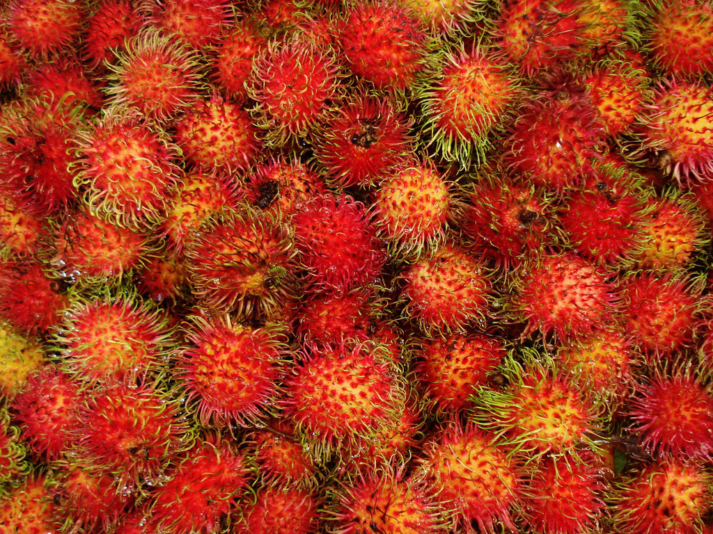 Rambutan