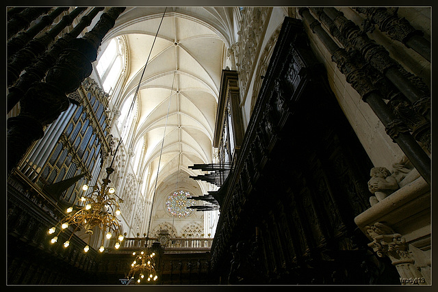 DSC00783 hf