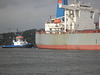 Schlepper bei "Silverpioneer"