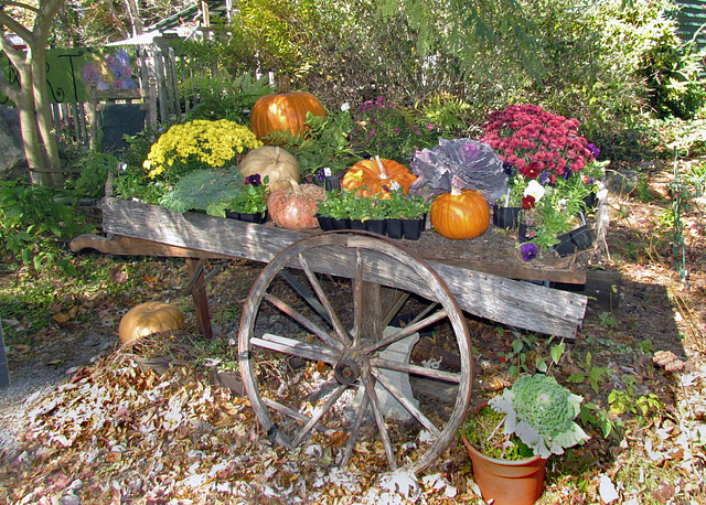 Fall Display