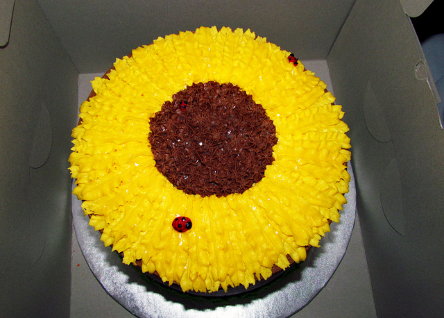 Sunflower Cake with Ladybugs